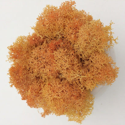200/1000g Quality Artificial Green Plant Eternal Life Moss Fake Flower Moss Grass Home Living Decorative Wall DIY Micro Landscap