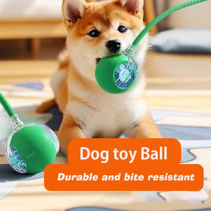 Novo Brinquedo Interativo de Bola para Cães, Bola Automática para Cães Recarregável, Brinquedo Interativo Inteligente para Filhotes, Bolas Inteligentes para Cães