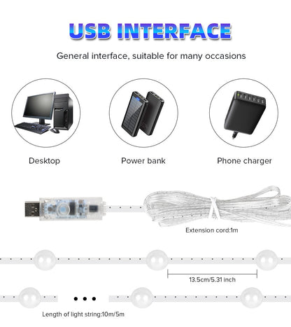 USB Christmas Lights String 5m 10m Bluetooth Music APP Remote DC5V WS2812B Party Wedding Garden Backyard Star Rugby Strawberries