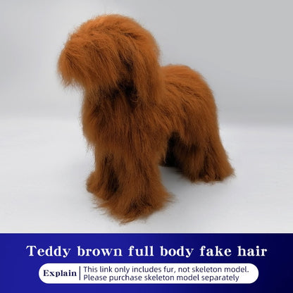 Teddy Pet simulation hair beauty fake beautician practicing dog standard Teddy full body fake head, skeleton model?pet groomer