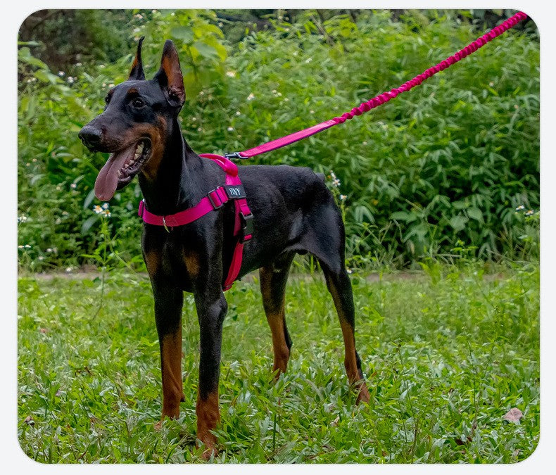 Coleiras e Guias para Cães Corda de Tração Dupla Durável para Cães Guia - Aumente a Segurança e o Controle