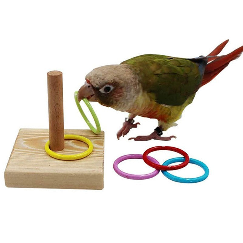 Conjunto de Brinquedos de Treinamento para Pássaros, Quebra-cabeça de Blocos de Madeira para Papagaios, Anéis Plásticos Coloridos, Brinquedo de Mastigar para Treinamento de Inteligência, Suprimentos para Pássaros