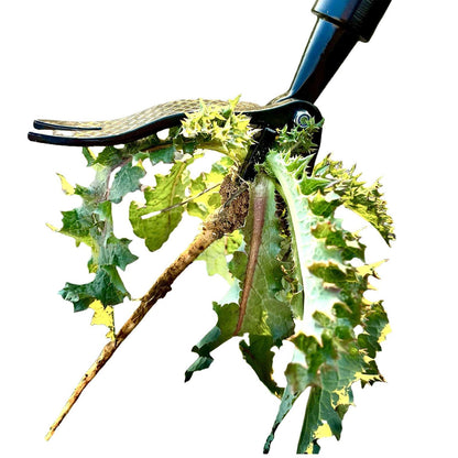 4 Claw Stand Up Weed Puller Stand Up Weed Puller 44 Inch Adjustable Handle 4 Claw Hand Weeding Tool for Garden Lawn Yard