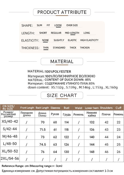 AMII Minimalist Duck Down Puffer Coat Women Winter 2025 Lightweight Stand Collar Lapel Warm Outerwear New Jackets 12344052