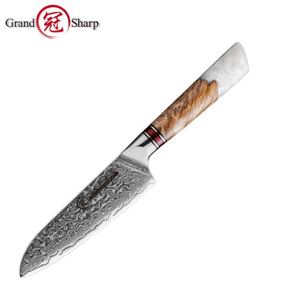 Grandsharp 1-6Pcs Kitchen Knife Set 67 Layer Damascus Steel Solidified Wood Handle Chef Utility Paring Knife with Gift Box