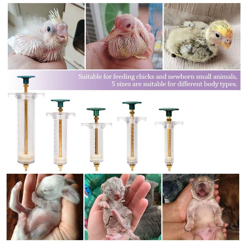 Seringa de Alimentação Contínua de Aço Plástico para Papagaio e Pombo, Injeção Veterinária, Alimentador de Pássaros para Gado e Cães - 10/20/30/50/100ml