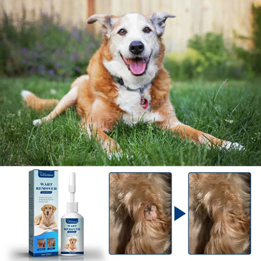 Remoção de Verrugas de Cães, Removedor de Etiquetas de Pele de Gatos, Tratamento Contra Manchas, Calos, Verrugas Indolores, Limpeza, Tratamento de Reparo da Pele, Líquido para Cuidados com a Pele de Animais de Estimação