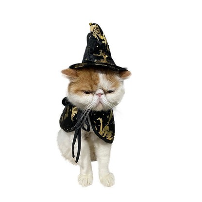 Nova Capa de Bruxa de Halloween, Capa de Gato Mago, Capa para Pets, Fantasia de Festival, Fantasia de Transformação