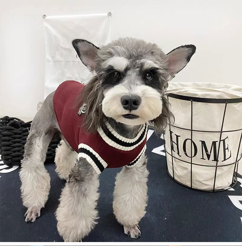 Suéter de Inverno Quentinho para Cães Estilo Colegial Gola V Tricô para Filhotes de Pequeno Porte Colete Roupinhas Jaqueta para Gatinhos