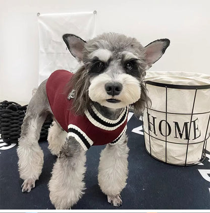 Suéter de Inverno Quentinho para Cães Estilo Colegial Gola V Tricô para Filhotes de Pequeno Porte Colete Roupinhas Jaqueta para Gatinhos