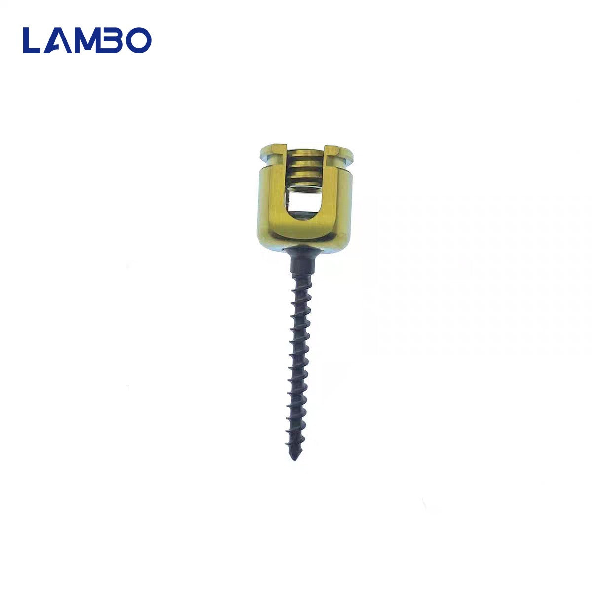 Parafuso pedicular veterinário 1.5/2.0/2.5/3.0/3.5mm, parafuso poliaxial para coluna, material de liga de titânio? Implantes Ortopédicos Veterinários