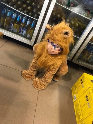 Boys Girls Wizard Lion King Costume Baby Kids Child Animal Birthday Party Halloween Cosplay Costumes Role Play Jumpsuit