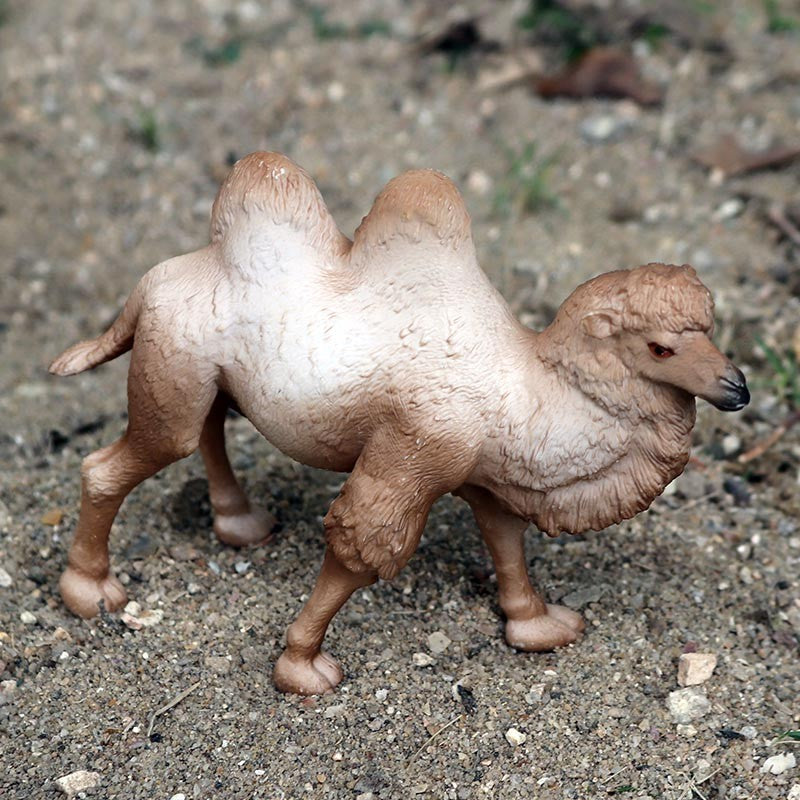 Oenux Simulação Animais Selvagens Brinquedo Camelo do Deserto Burro Alpaca Antílope Cervo Veado Modelo Bonecos de Ação PVC Decoração Presente Infantil