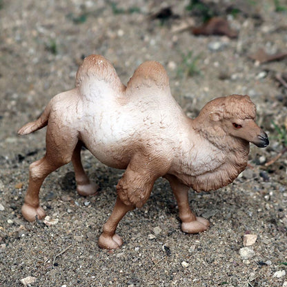 Oenux Simulação Animais Selvagens Brinquedo Camelo do Deserto Burro Alpaca Antílope Cervo Veado Modelo Bonecos de Ação PVC Decoração Presente Infantil