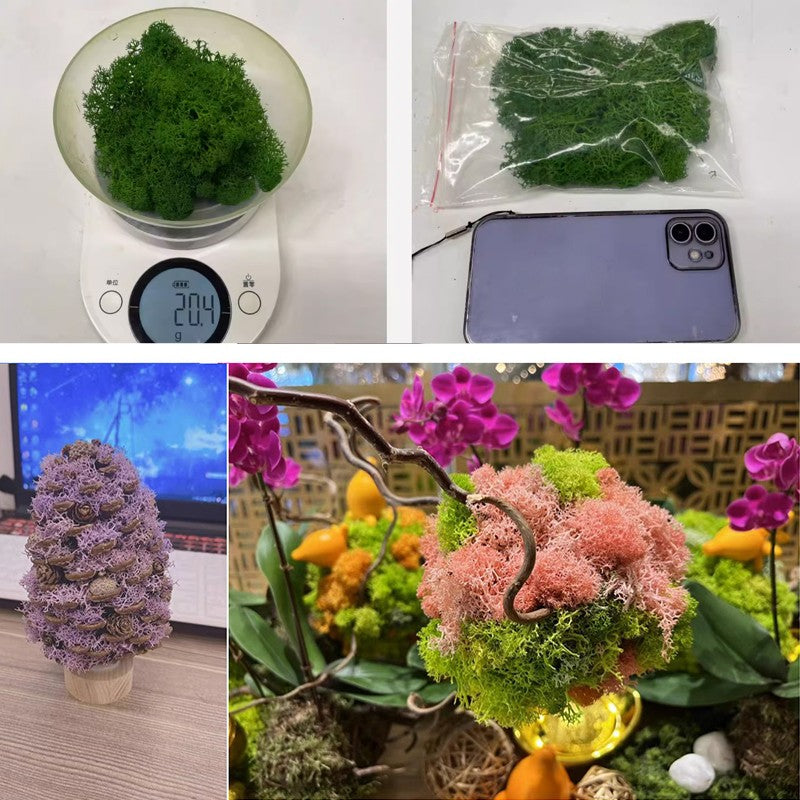 200/1000g Quality Artificial Green Plant Eternal Life Moss Fake Flower Moss Grass Home Living Decorative Wall DIY Micro Landscap
