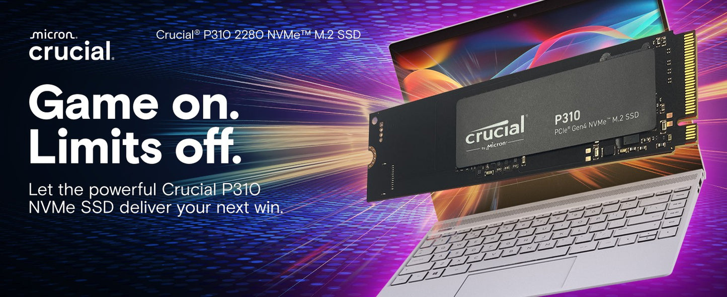 Crucial P3 Plus 1TB 2TB PCIe Gen4 NVMe M.2 SSD Interno (Pacote OEM) & Crucial NVME 2280 P310 1TB SSD & Crucial T500 1TB