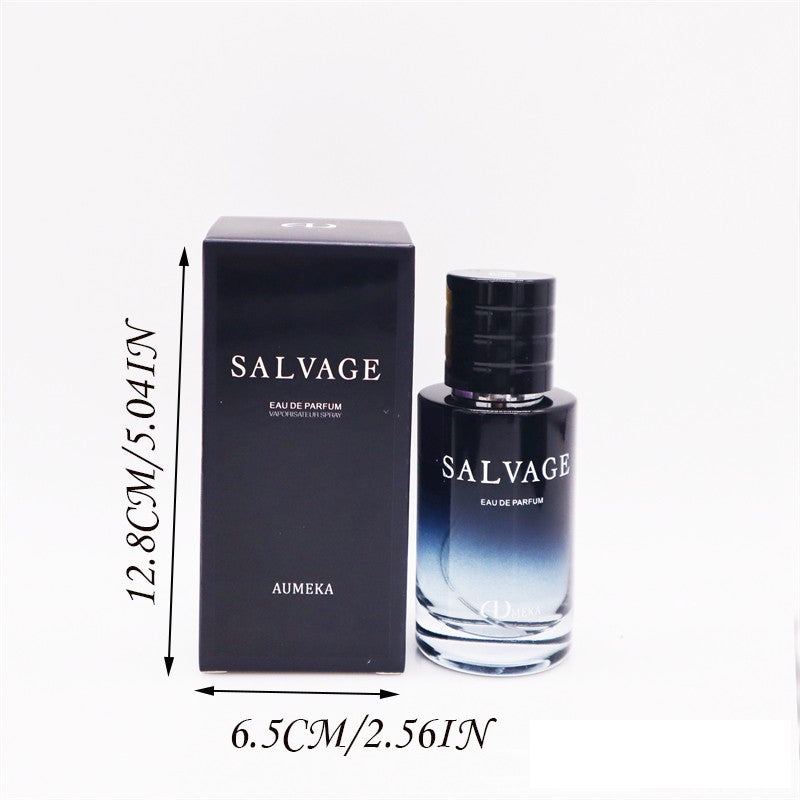 AUMEKA Perfume For Men Original Luxury Arabes Woody Eau De Parfum Man Gift Makeup 100ml AU247