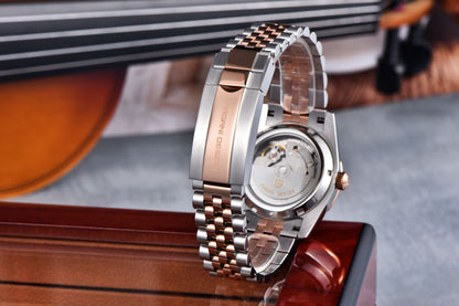 PAGANI DESIGN Men's Watches 2025 New Enamel Dial DD36 Automatic Watch Men Business Waterproof Mechanical Wristwatch For Men Gift