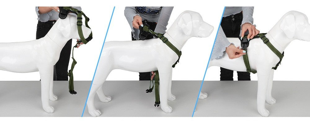 Novas Coleiras de Alta Qualidade, Peitorais, Guia de Couro para Cães de Grande, Médio e Pequeno Porte, Colete Peitoral para Passeio, Suprimentos para Animais de Estimação
