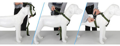 Novas Coleiras de Alta Qualidade, Peitorais, Guia de Couro para Cães de Grande, Médio e Pequeno Porte, Colete Peitoral para Passeio, Suprimentos para Animais de Estimação