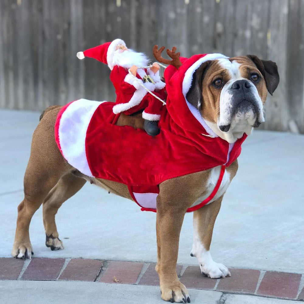 Melhor Presente de Natal Fantasia Divertida de Papai Noel Montando Cão Traje Festivo para Animais de Estimação para Fotografia Estilo Rena Roupa de Papai Noel com S-3XL