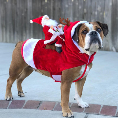 Melhor Presente de Natal Fantasia Divertida de Papai Noel Montando Cão Traje Festivo para Animais de Estimação para Fotografia Estilo Rena Roupa de Papai Noel com S-3XL