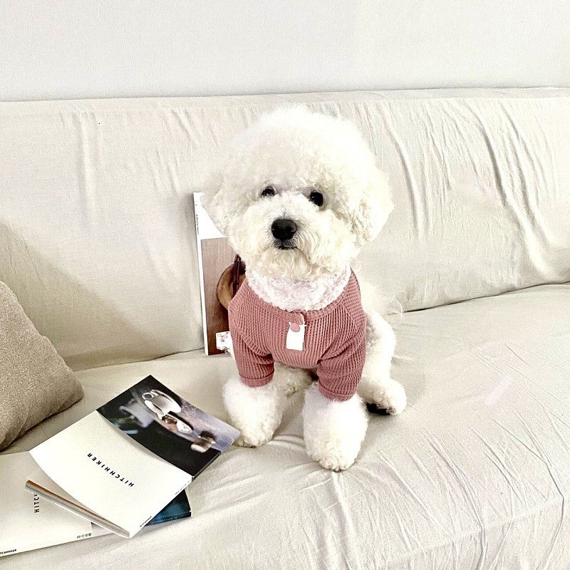 Roupas Finas para Cães, Moletom Sólido para Animais de Estimação, Moletons para Cães, Moda para Gatos Filhotes, Camisetas, Roupas de Chihuahua, Colete Yorkie Bichon, Camisa de Fantasia para Cães