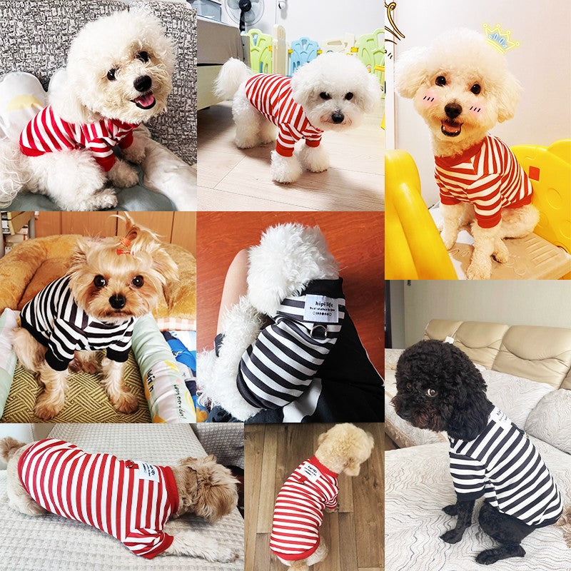 Roupas de inverno para cachorro, Moletom com capuz fofo de desenho animado, quente, para Chihuahua, Bulldog Francês, Roupa para filhotes, Casaco, Fantasia para cães de estimação