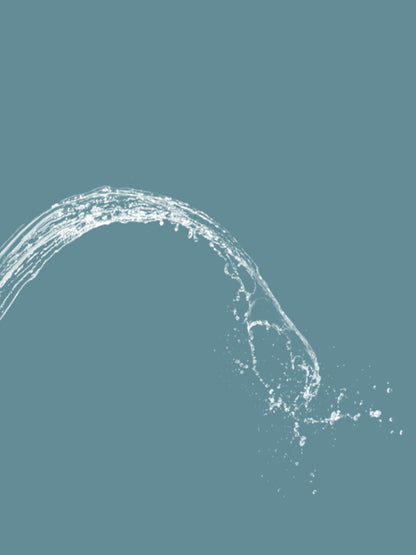 SAMODRA Button Bidet - Non-ElectricSelf  Cleaning Dual Nozzle (Frontal and Rear Wash) Fresh Water Bidet Toilet Seat Attachment