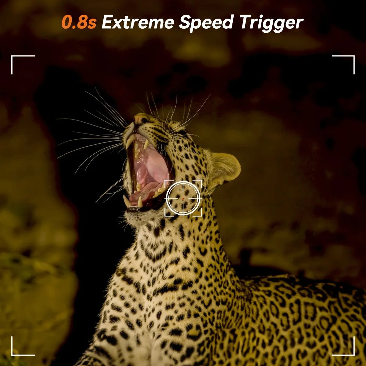 Hunting Camera Wild Infrared Night Vision Outdoor Motion Trail Game Cam Activated Tracking Photo Trap Cam Wild Surveillance