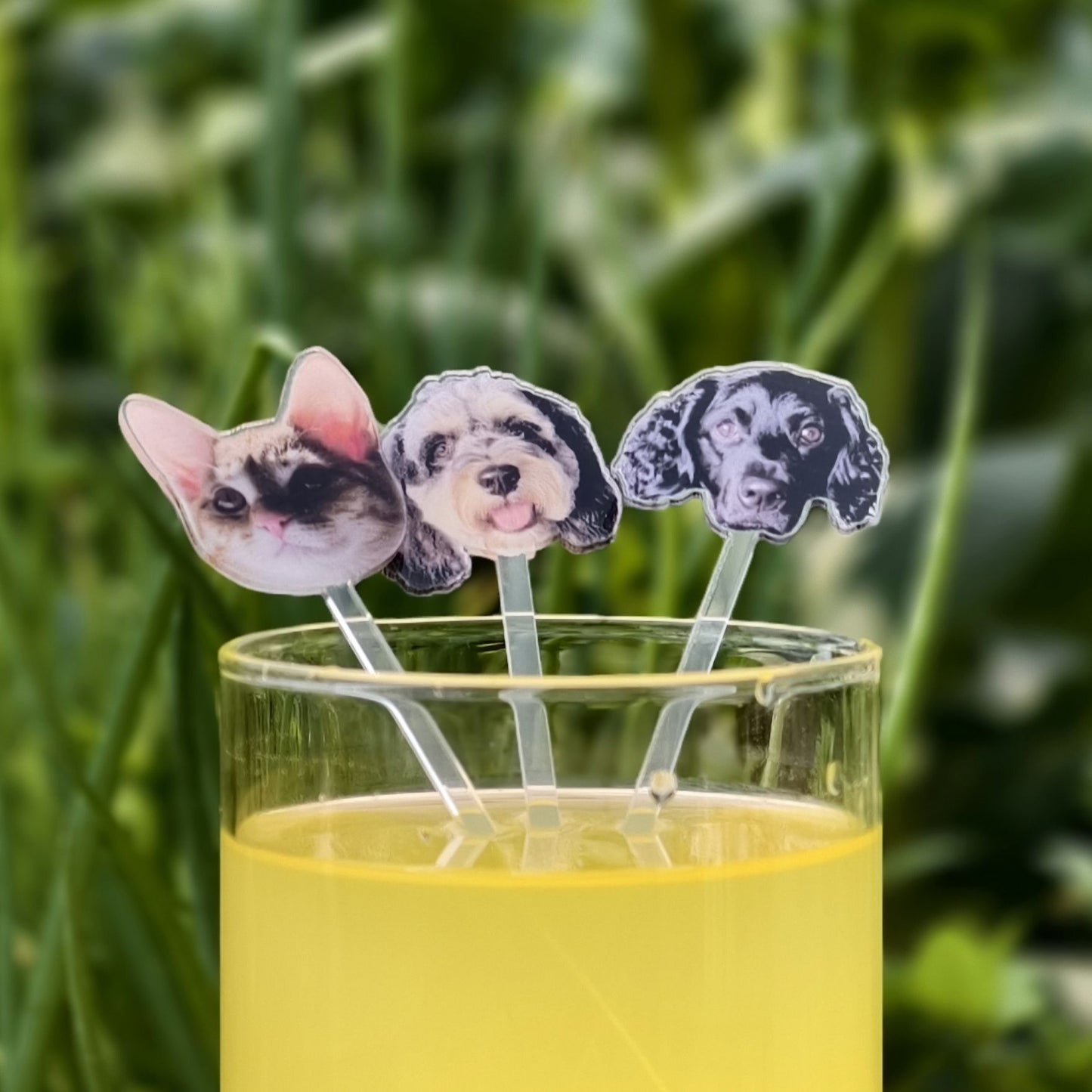 Wedding Cocktail Stirrer Custom Pet Drink Stir Baptism souvenir Acrylic Party Drink Stirs Personalized Pet Cocktail Stirrers