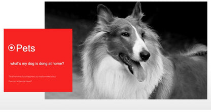 5MP 1080P Wifi IP Camera Dome Indoor Cctv Security Surveillance NightVision Infrared  Video Wireless Home Cam Onvif CamHipro