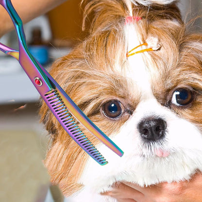 Tesoura Curva Dupla para Tosar Pelo de Cão Tesoura Profissional para Tosa de Cães Tesoura Curva para Desbaste de Pelo de Animais de Estimação
