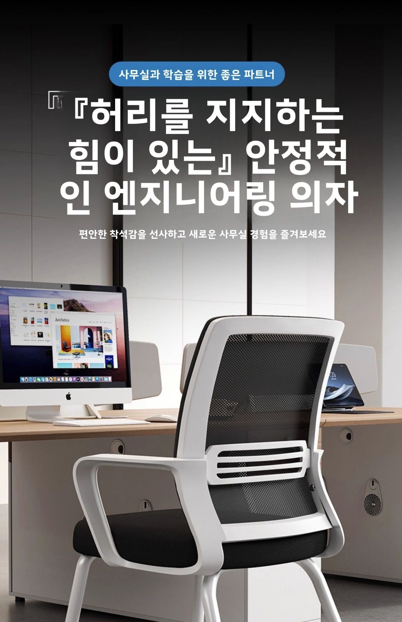 Ergonomic Office Chair Mesh Back Lumbar Support Adjustable Height Reclining Swivel Rolling Caster Home Office Study Meeting Room