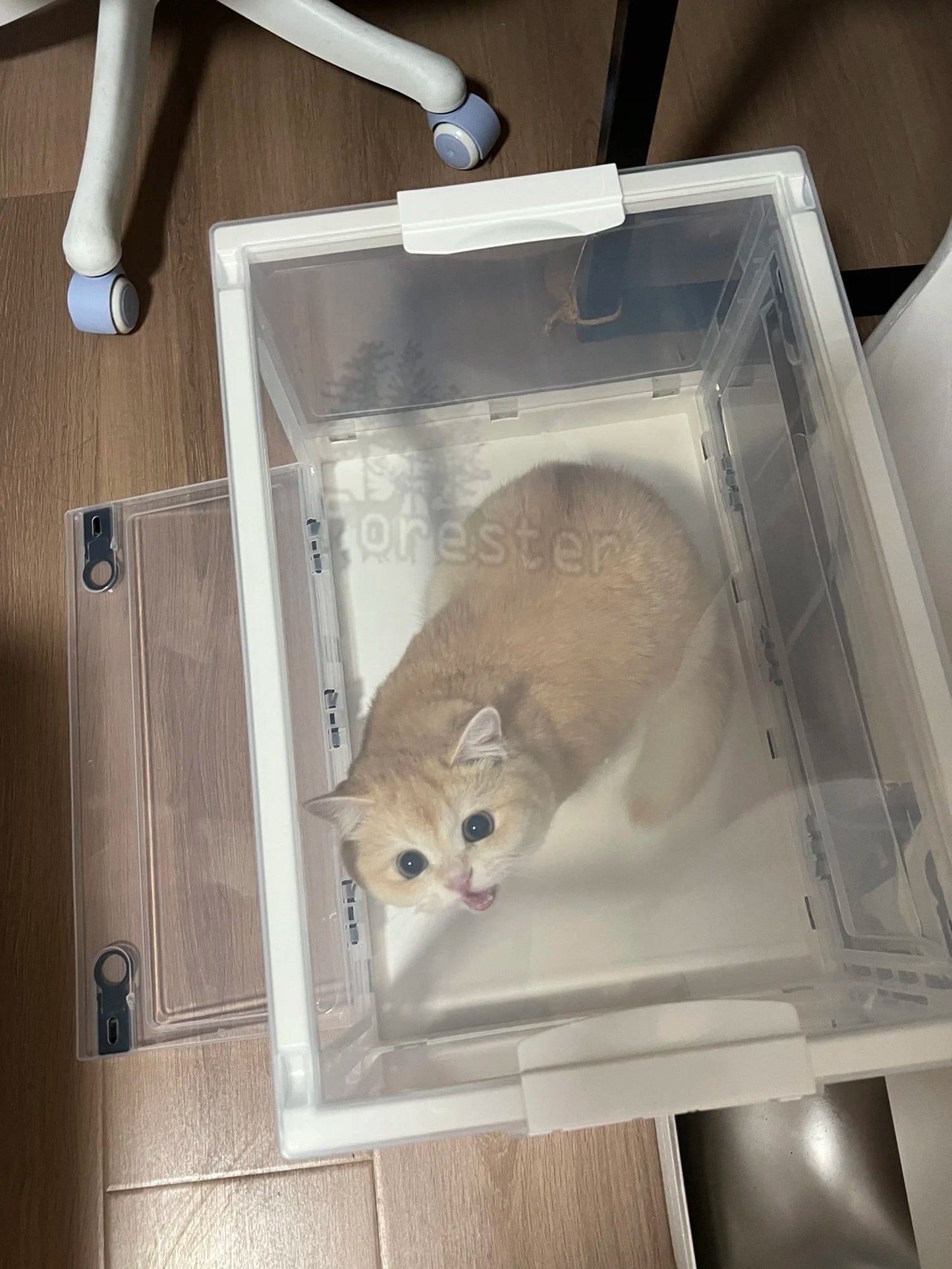 Caixa de Atomização para Pets, Sala de Oxigênio Dobrável, Fácil de Transportar, Caixa de Nebulização Veterinária, Gaiola de Oxigênio para Caixa de Atomização Veterinária