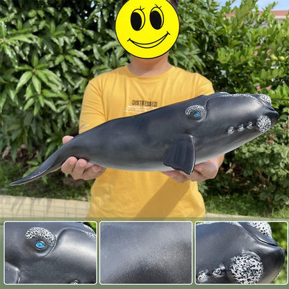 Grandes Animais Marinhos Baleia Jubarte Golfinho Assassino Baleia Azul Agite Cachalote Modelo Bonecos de Ação Tartaruga Marinha Pinguim Brinquedos Educacionais