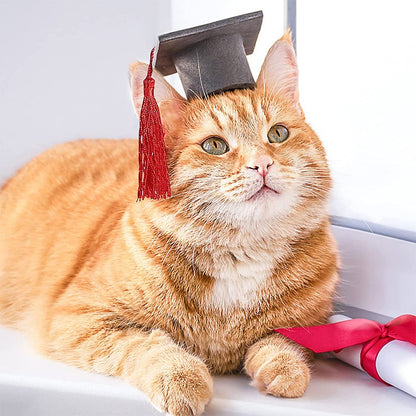Chapéu de Formatura Pequeno Animal Mini Chapéu de Bacharel com Borla Boné de Estimação Fofo Gravata Borboleta para Gatinho Hamster Acessório de Fantasia para Fotos