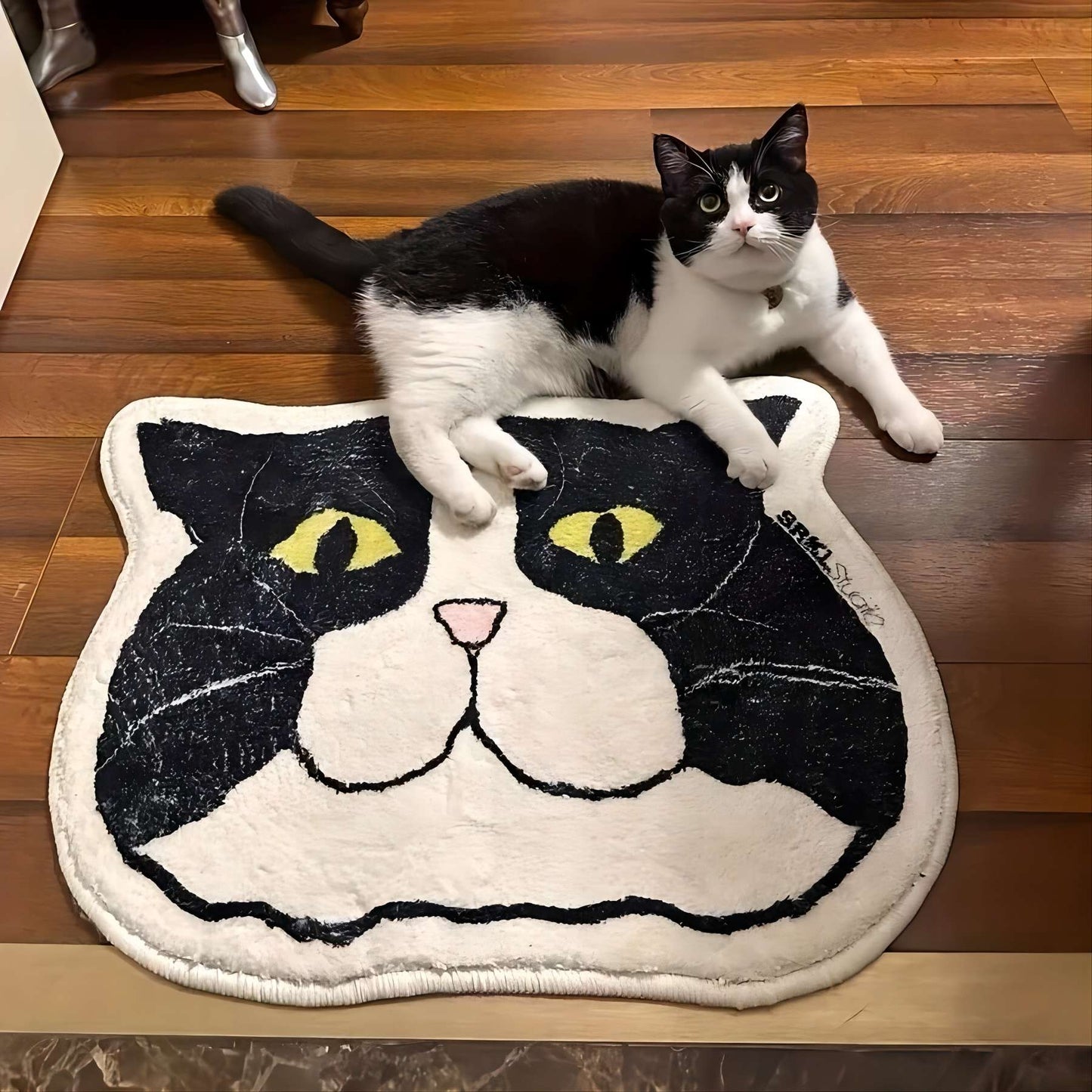 VIKAMA Cartoon Big Head Cat Floor Mats Waterproof Anti-Fouling Entrance Sofa Living Room Bedroom Home Decoration Carpet