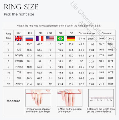 Lover Valentine's Day 18K White Gold Girl Friend Birthday Gift 1.92CT Moissanite Diamond Women Wedding PT950 Tassel Earrings