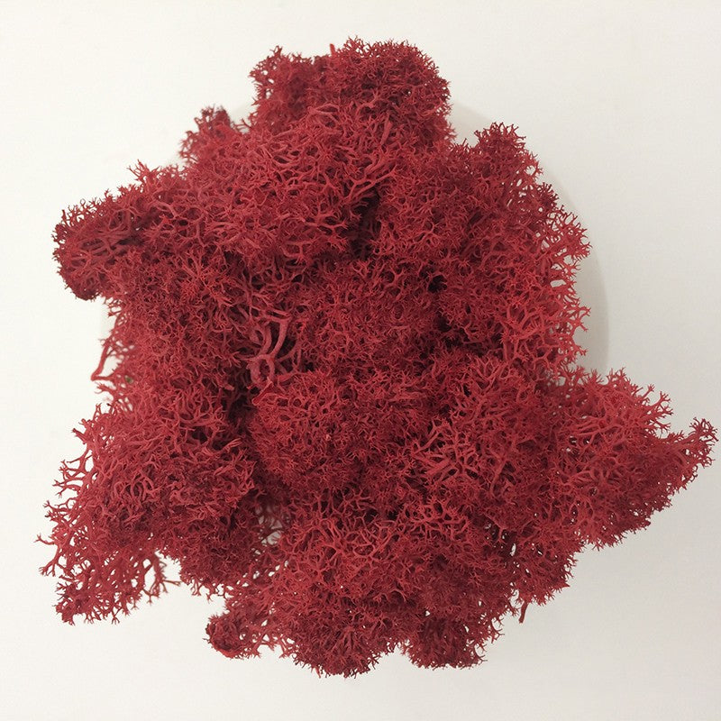 200/1000g Quality Artificial Green Plant Eternal Life Moss Fake Flower Moss Grass Home Living Decorative Wall DIY Micro Landscap
