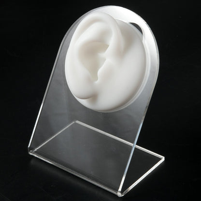 1PC Soft Silicone Simulation 1:1 Ear Nose Navel Nipple Model Practice Piercings Tools Jewelry Display Teaching Tool Accessories