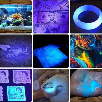 2-in-1 Type C Rechargeable UV Flashlight Torch Light 395nm Black Light Portable Ultraviolet Light Pets Blacklight Uv Flashlights