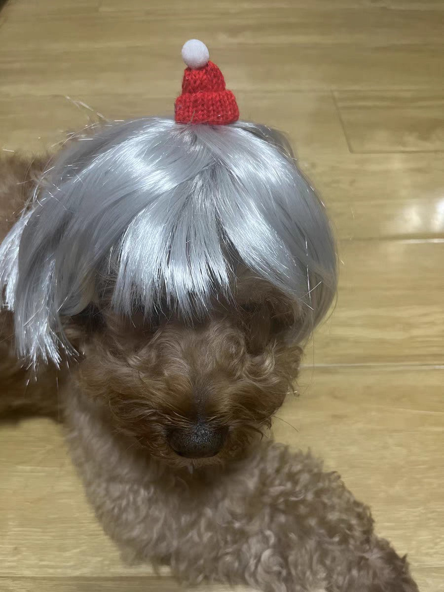 Peruca para Animais de Estimação, Peruca para Cachorro, Suprimentos para Animais de Estimação, Acessórios de Halloween para Animais de Estimação, Peruca de Cabelo Cacheado, Cabelo Liso, Peruca para Gato, Pode Ser Aparada (DIY)