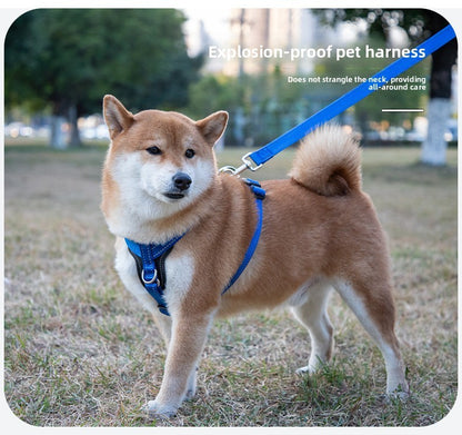 Novas Coleiras de Alta Qualidade, Peitorais, Guia de Couro para Cães de Grande, Médio e Pequeno Porte, Colete Peitoral para Passeio, Suprimentos para Animais de Estimação