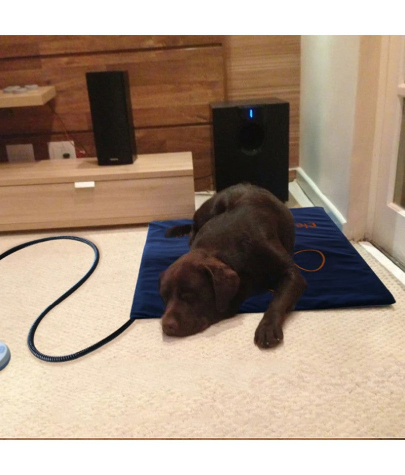 Almofada de aquecimento elétrica para animais de estimação 45×60cm cobertor para cães gatos almofada aquecedora de inverno à prova d'água tapetes para cães com temperatura ajustável Plugue EUA/Reino Unido/UE