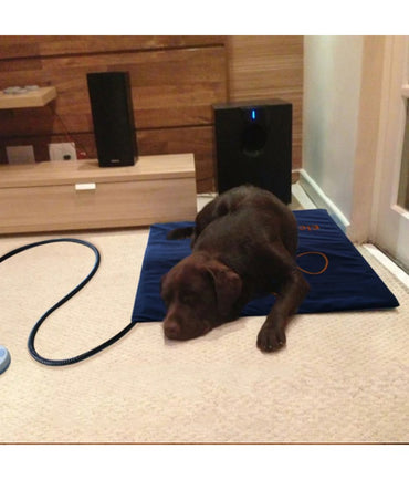 Almofada de aquecimento elétrica para animais de estimação 45×60cm cobertor para cães gatos almofada aquecedora de inverno à prova d'água tapetes para cães com temperatura ajustável Plugue EUA/Reino Unido/UE