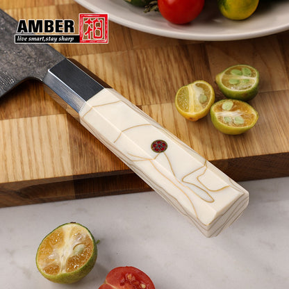 1-6 PCS Kitchen Knife 67 Layers Damascus Steel 10Cr15CoMoV core Kitchen Chef Slicing Utility Paring Knife Set mesh resin Handle