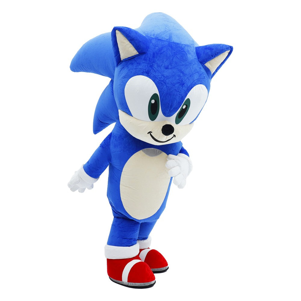 Inflatable Cartoon Hedgehog Costume Mascot Parade Adult Character Cosplay Animal Birthday Halloween Party Event Plush Set