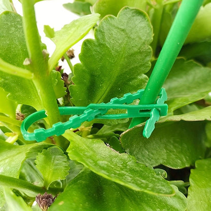 Reusable Adjustable Plastic Plant Cable Ties for Garden Vines, Trees, and Shrubs Support, Locking Nylon Zipper Organizer Tools