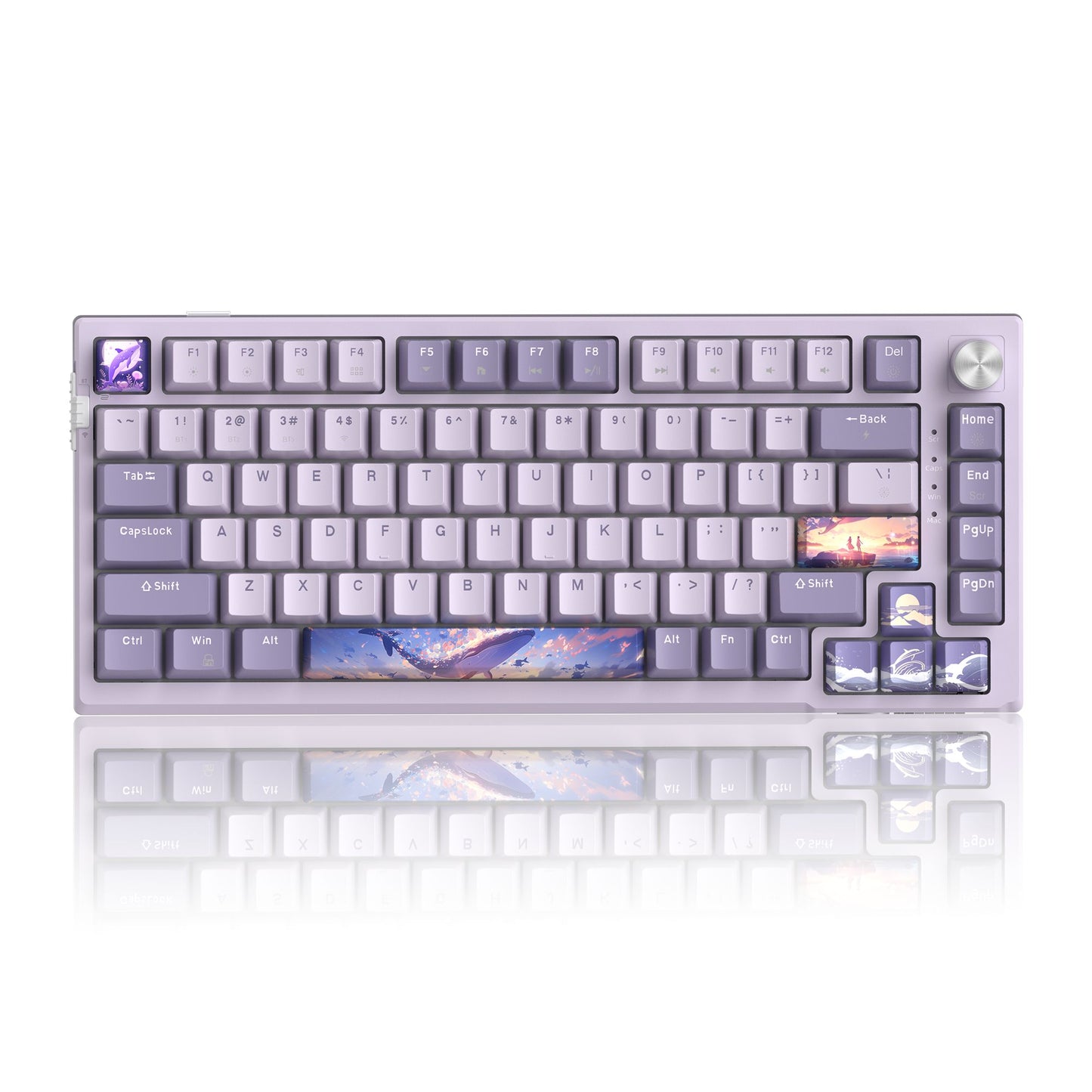 Teclado Mecânico Gamer MageGee SKY81 75%, RGB Gasket Hot Swappable com Fio Personalizado, Amortecimento de Som Cremoso com Botão